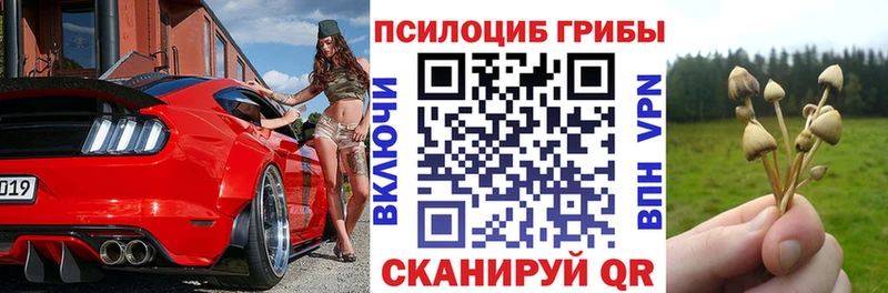 Галлюциногенные грибы Psilocybine cubensis  Менделеевск 