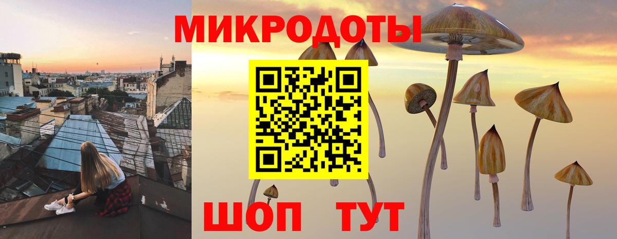 Галлюциногенные грибы мицелий Менделеевск