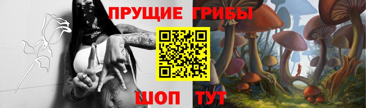 Галлюциногенные грибы MAGIC MUSHROOMS  Вход с VPN  Галлюциногенные грибы MAGIC MUSHROOMS  где продают   Менделеевск 