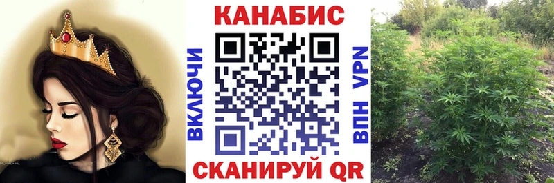 Шишки марихуана планчик купить наркотики цена Менделеевск